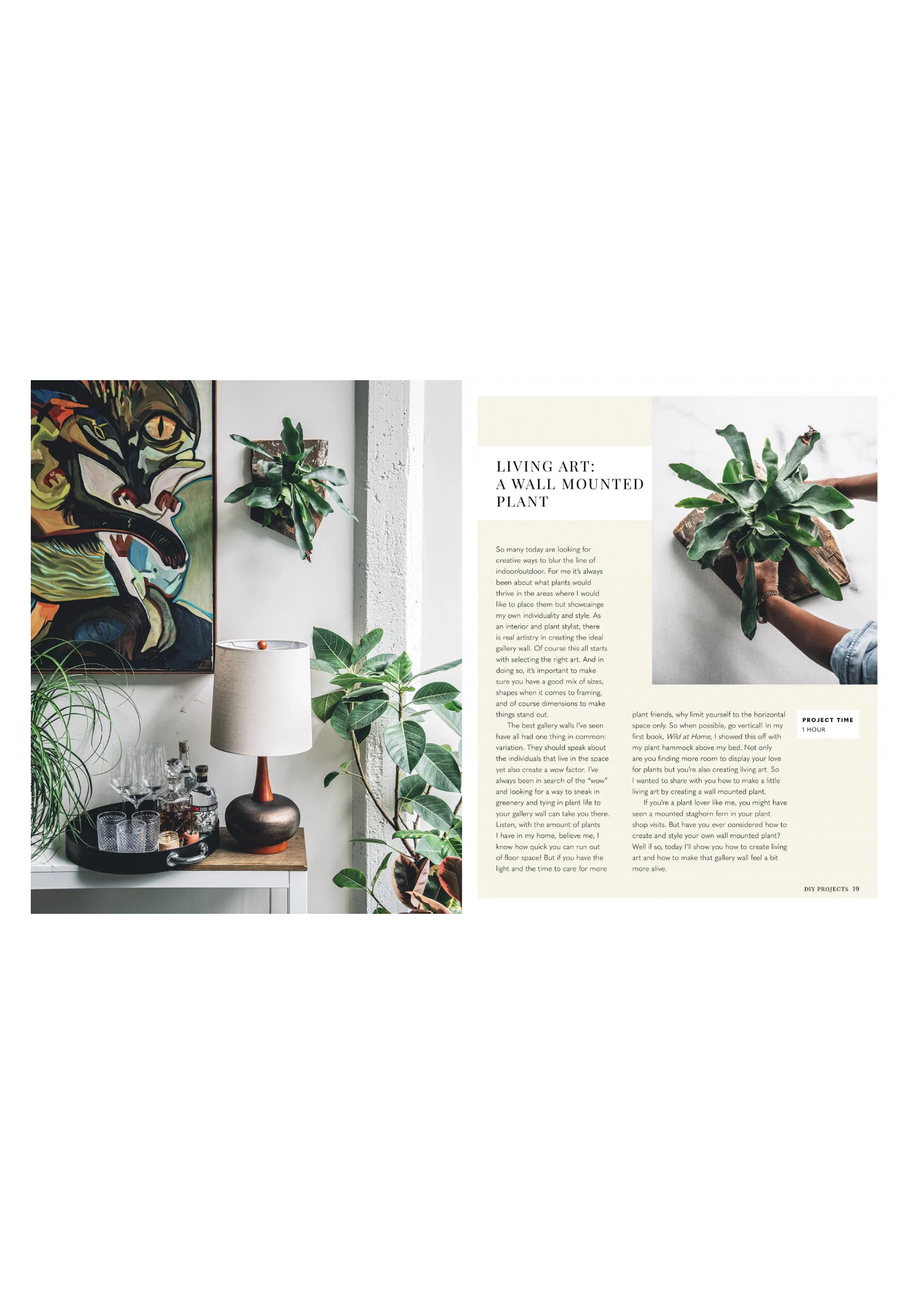 Wild Creations - Plants