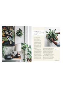 Wild Creations - Plants