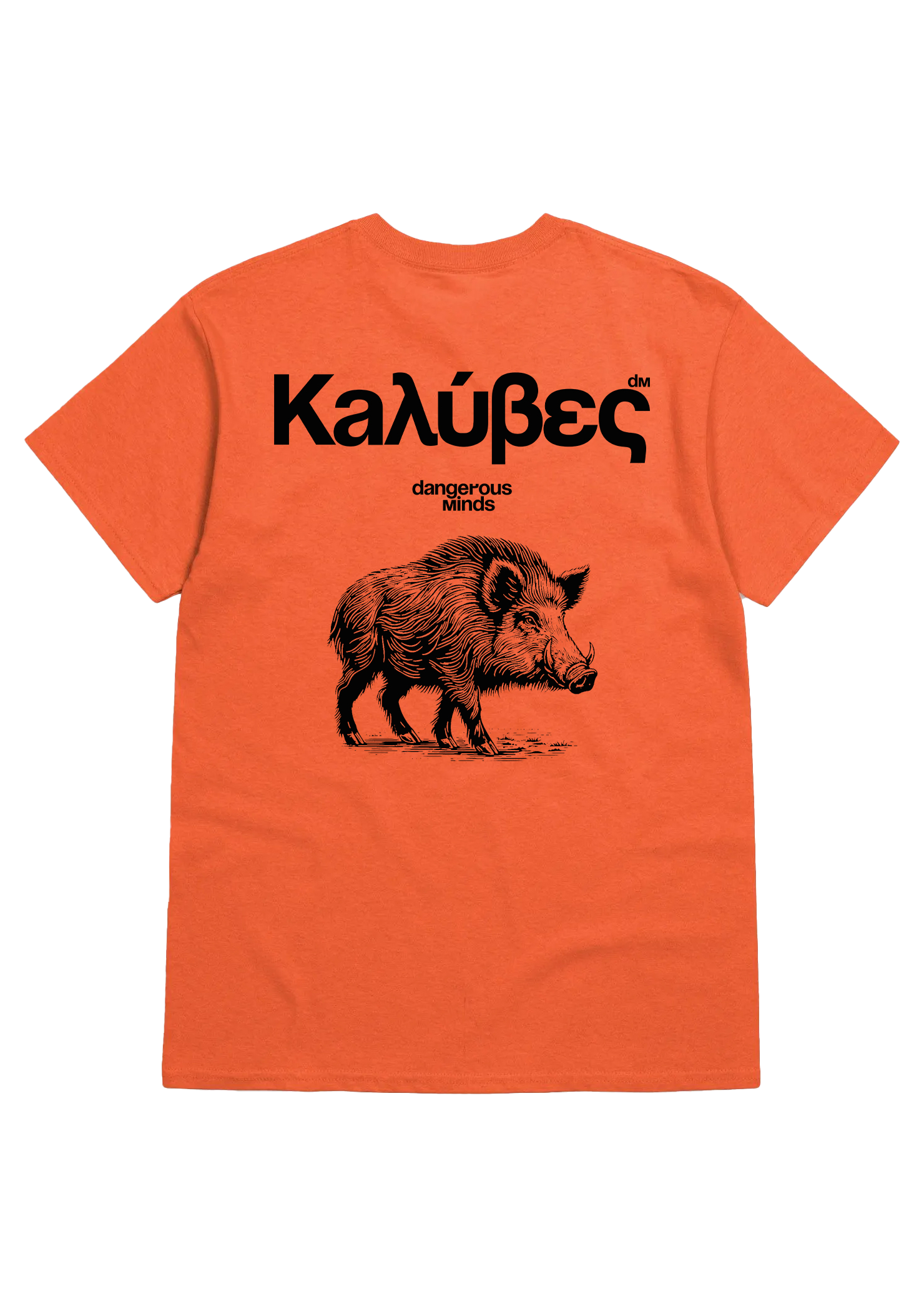 Kaluves  Agrioxoiros Orange tee