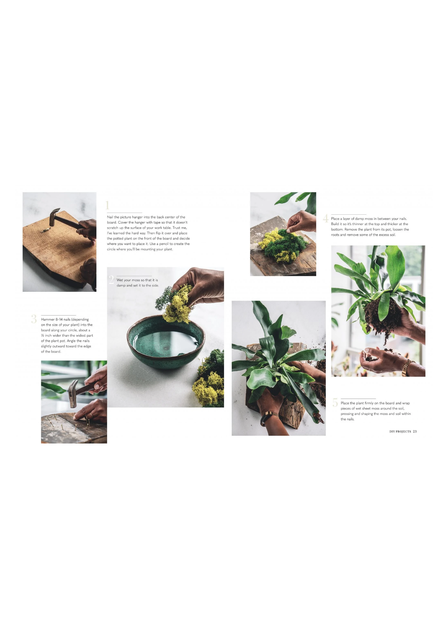 Wild Creations - Plants