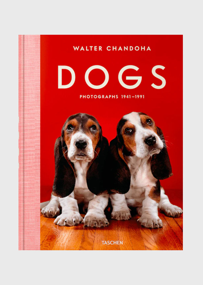 Dogs - Walter Chandoha - Photographs 1941-1991