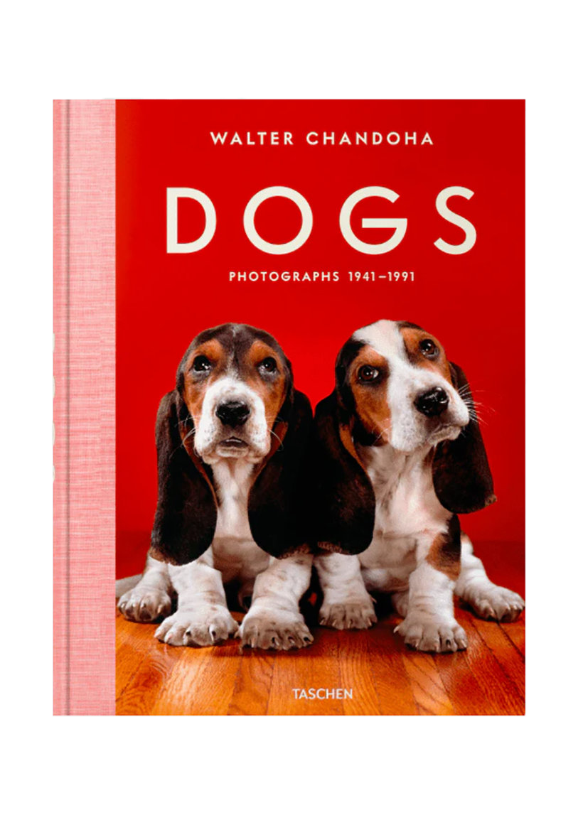 Dogs - Walter Chandoha - Photographs 1941-1991