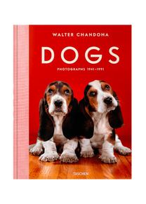Dogs - Walter Chandoha - Photographs 1941-1991