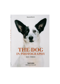 The Dog In Photography