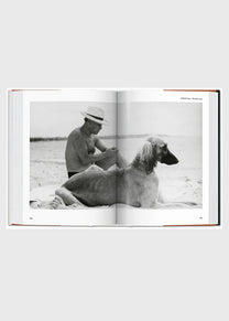 The Dog In Photography