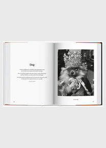 The Dog In Photography