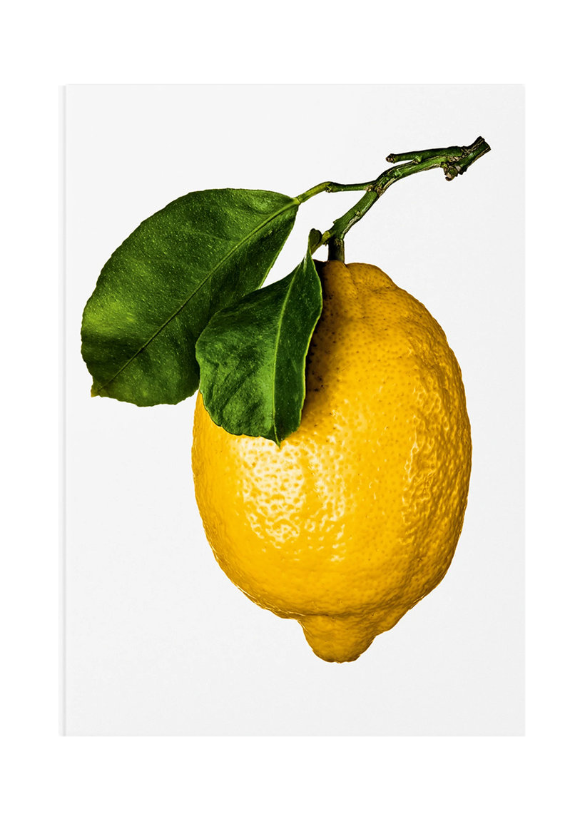 The Gourmand's Lemon - A Collection of Stories and Recipes