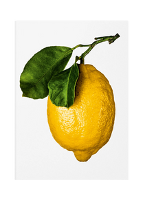 The Gourmand's Lemon - A Collection of Stories and Recipes