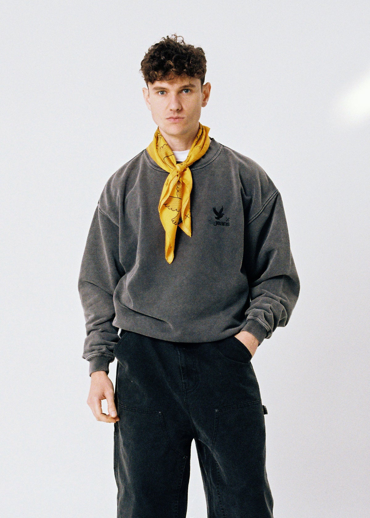 DM Jeans Big Bird washed grey sweatshirt