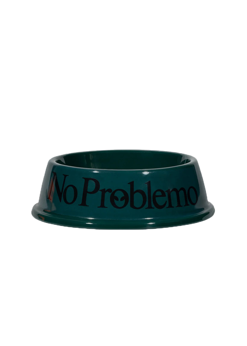 No Problemo green pet bowl