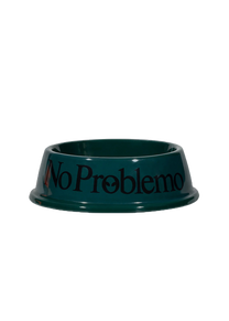 No Problemo green pet bowl