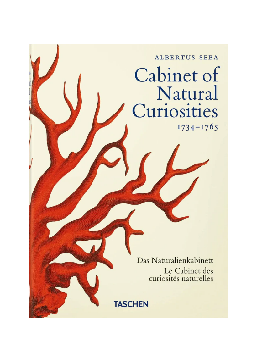 Cabinet of Natural Curiosities
