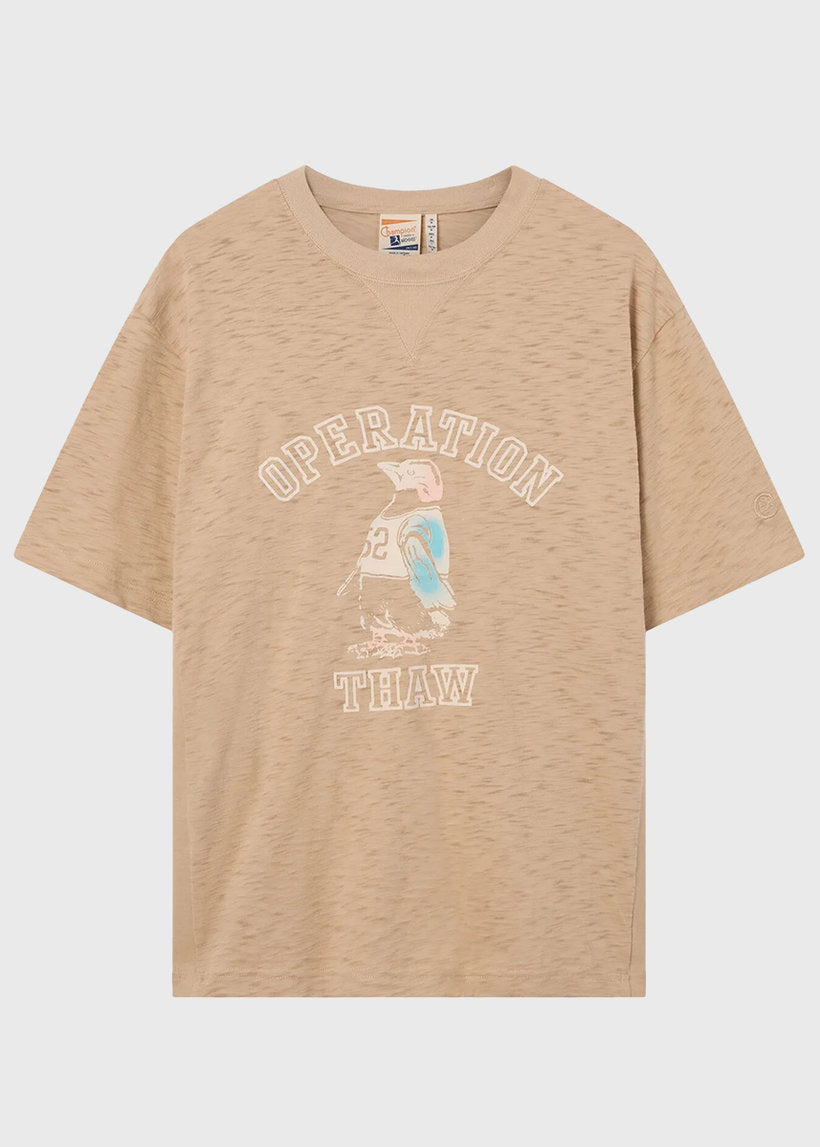 Champion Archive 221108 Ghost Ranch brown tshirt