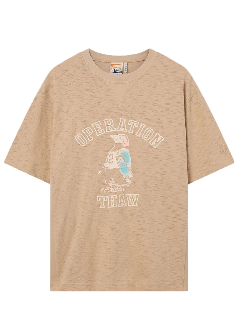 Champion Archive 221108 Ghost Ranch brown tshirt