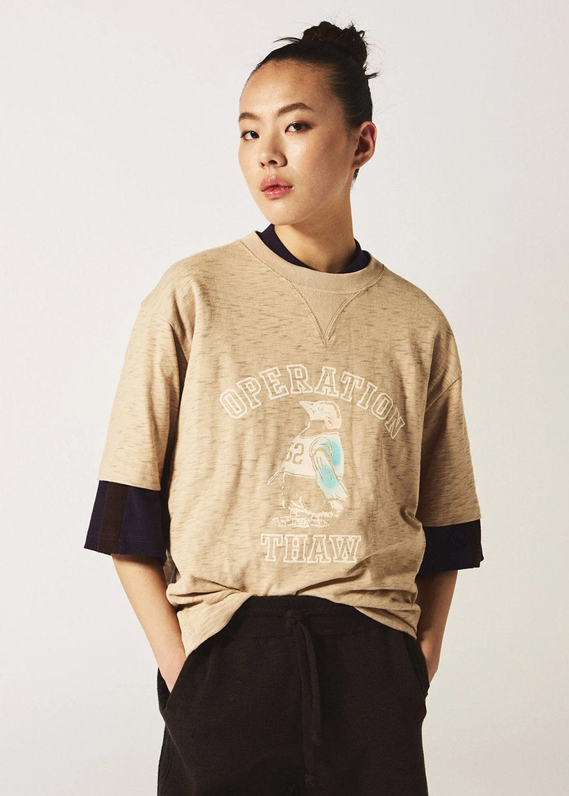 Champion Archive 221108 Ghost Ranch brown tshirt