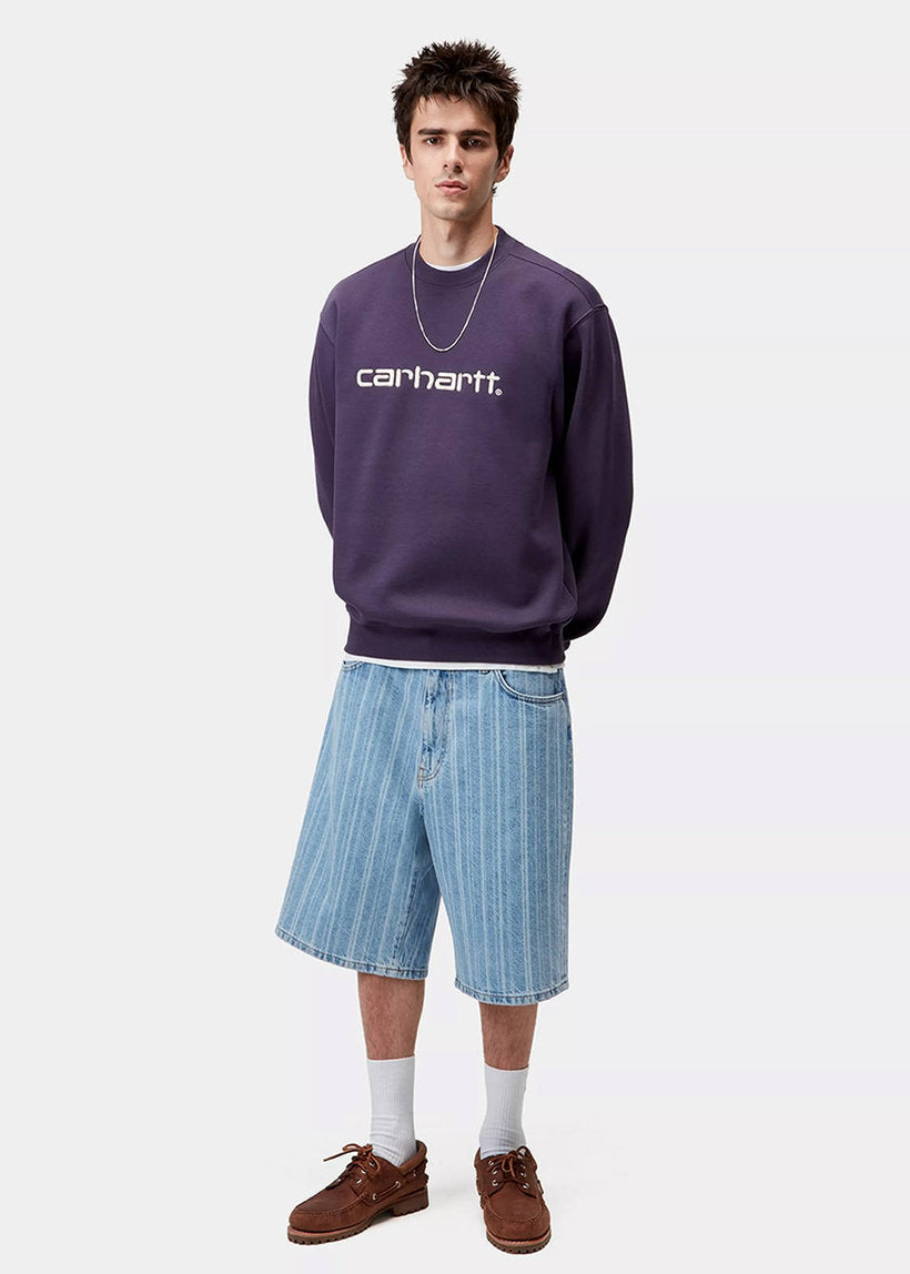 Carhartt WIP I030546 Carhartt lokers/salt sweatshirt