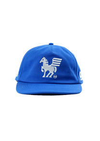 Dangerous Minds Akropolis by Allister Lee embroidery blue cap