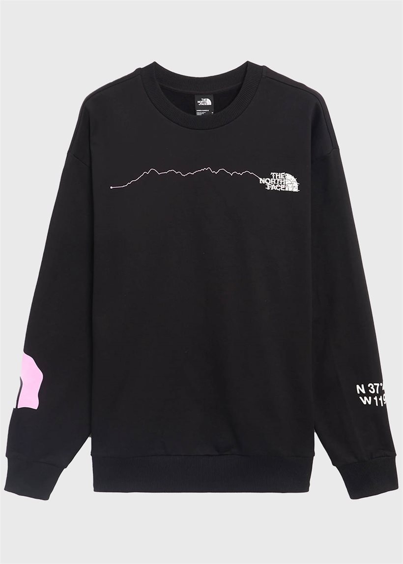 The North Face NF0A87F4JK31 U NSE Graphic CRLW black crew
