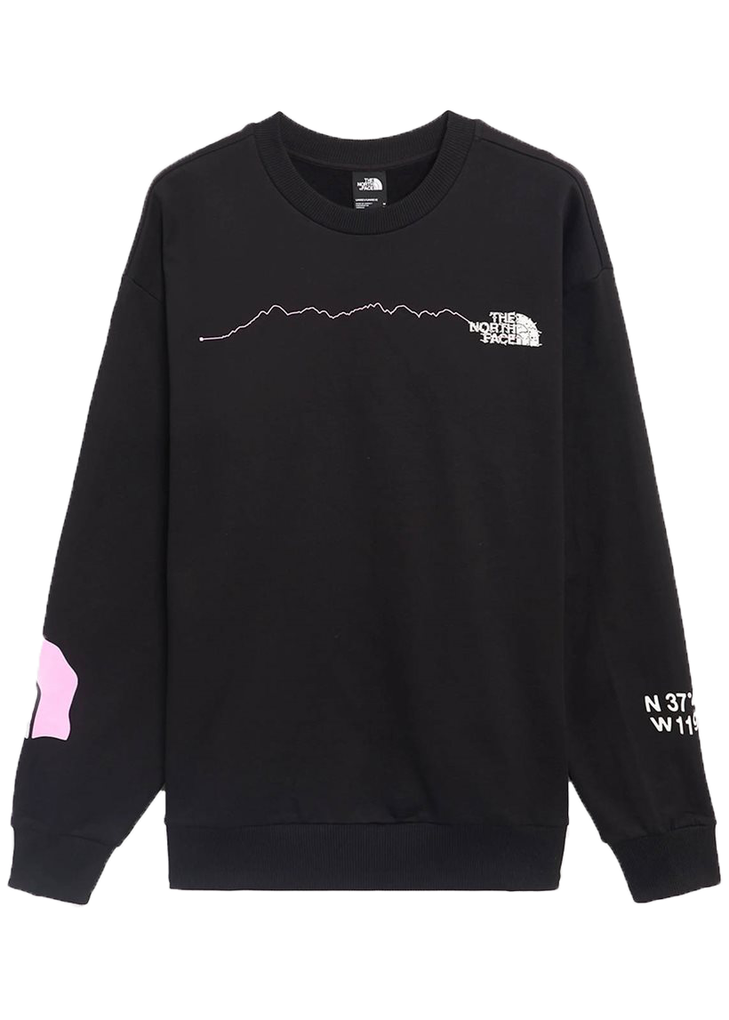The North Face NF0A87F4JK31 U NSE Graphic CRLW black crew