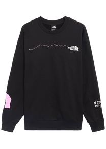 The North Face NF0A87F4JK31 U NSE Graphic CRLW black crew
