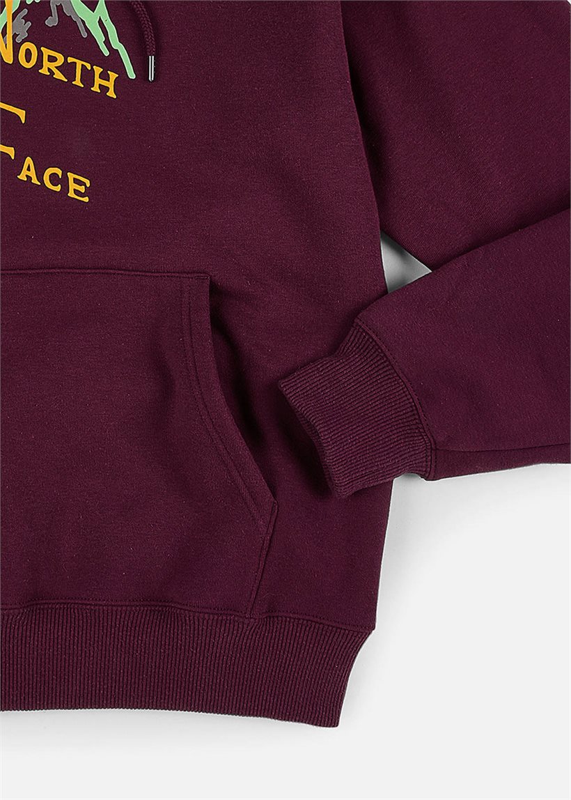 The North Face NF0A84GKLI71 M' HW BOYSENBRY hoodie