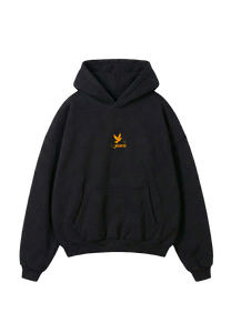 DM Jeans Big Bird hoodie