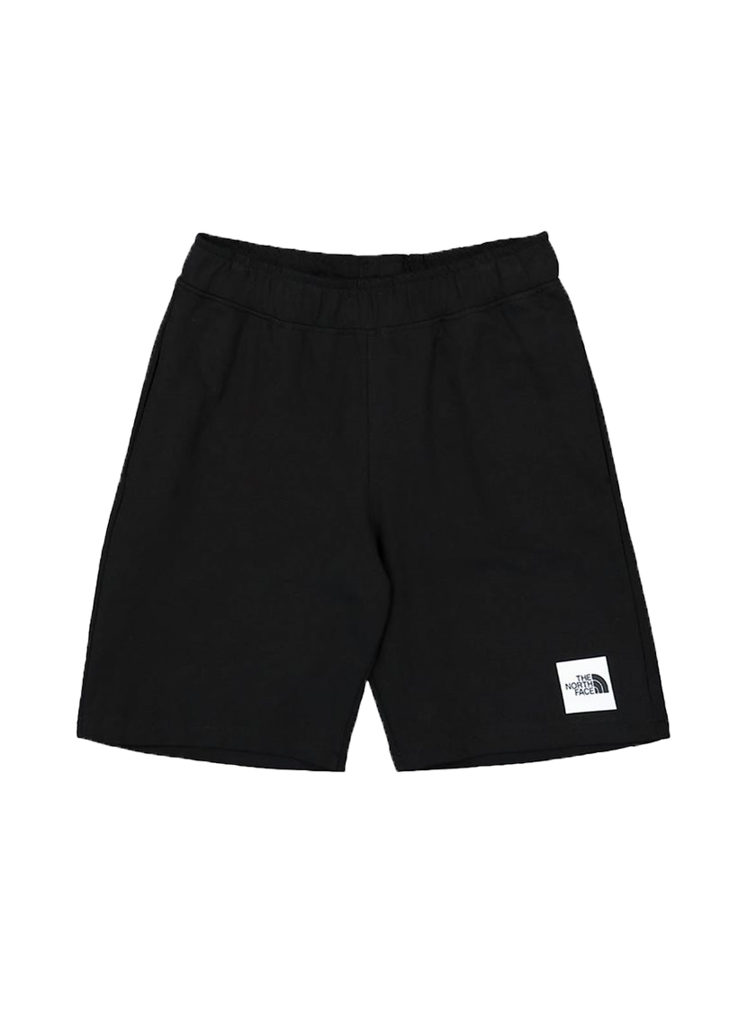 The North Face NF0A8237JK31 M' Summer Logo TNF BLACK shorts