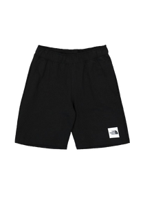 The North Face NF0A8237JK31 M' Summer Logo TNF BLACK shorts