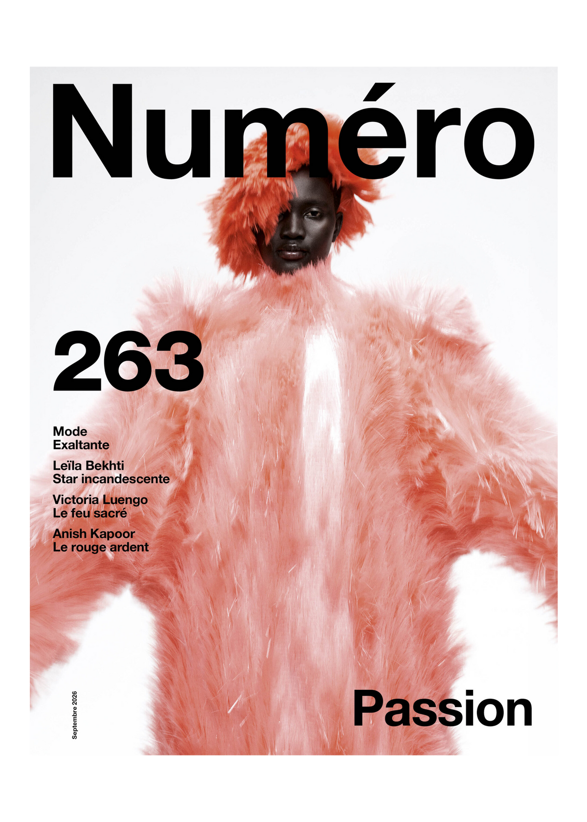 Numéro Issue 263