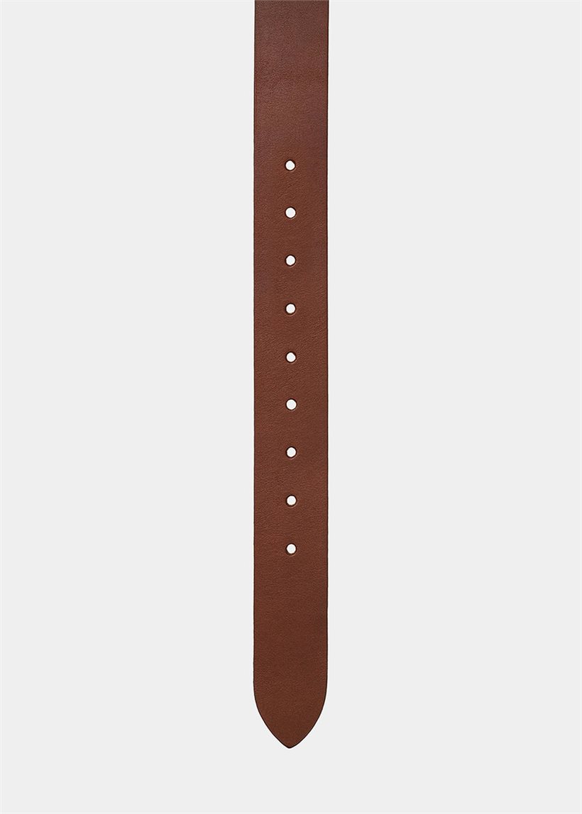 Carhartt WIP I032433 Ryan cognac/silver belt