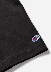 Champion C5B301 X090